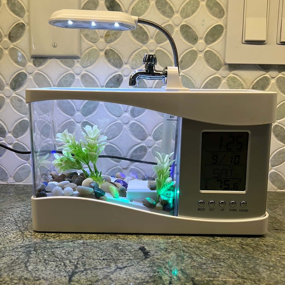 Small Betta Tank